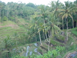 Indonesia 2004