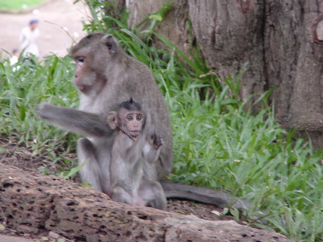 Cambodia 027