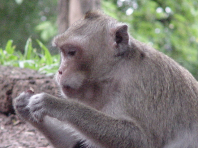 Cambodia 028