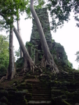 Cambodia 061