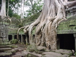 Cambodia 068