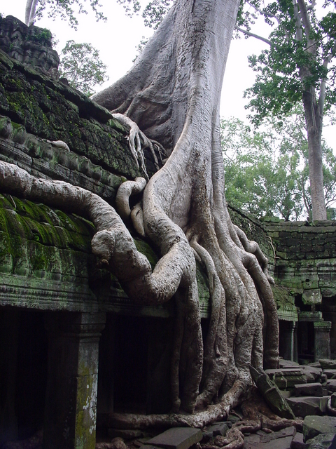 Cambodia 069