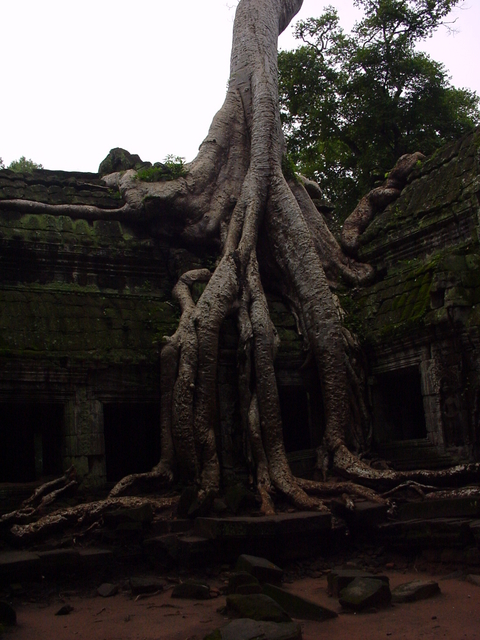 Cambodia 079