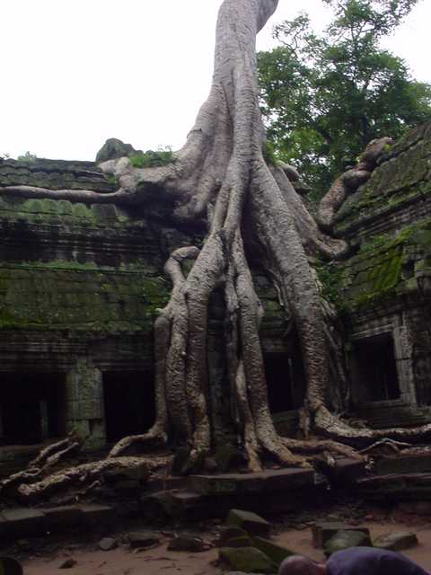 Cambodia 080