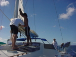 BVI-013