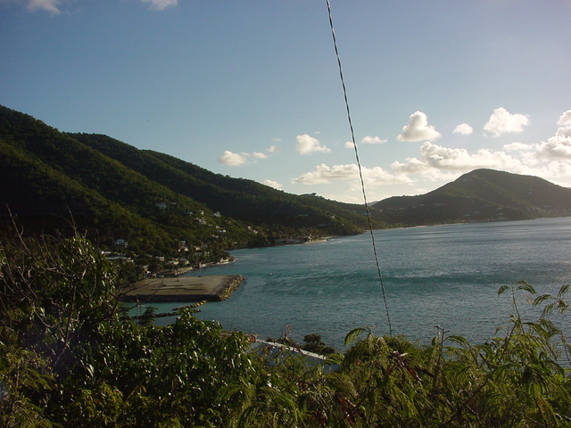 BVI-024