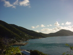 BVI-026