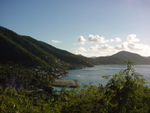 BVI-028