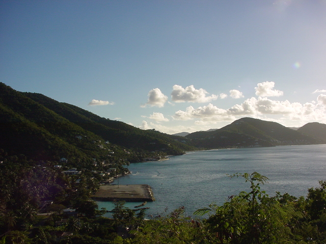 BVI-029