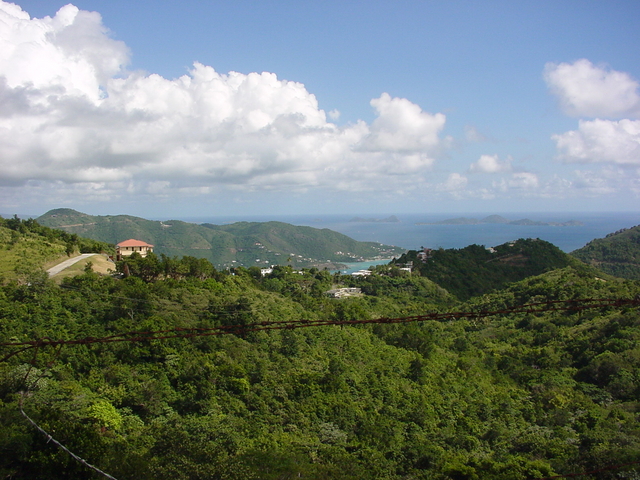 BVI-049