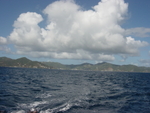 BVI-081