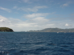 BVI-110