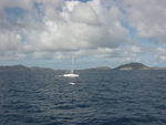 BVI-123