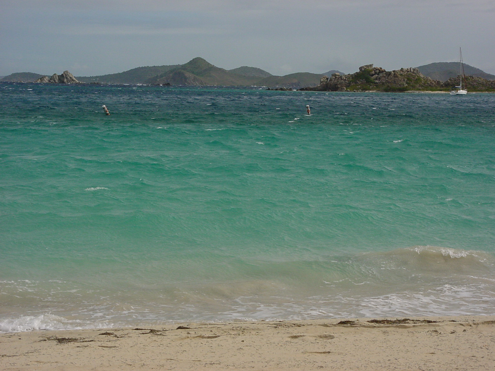 BVI-175