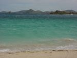 BVI-175