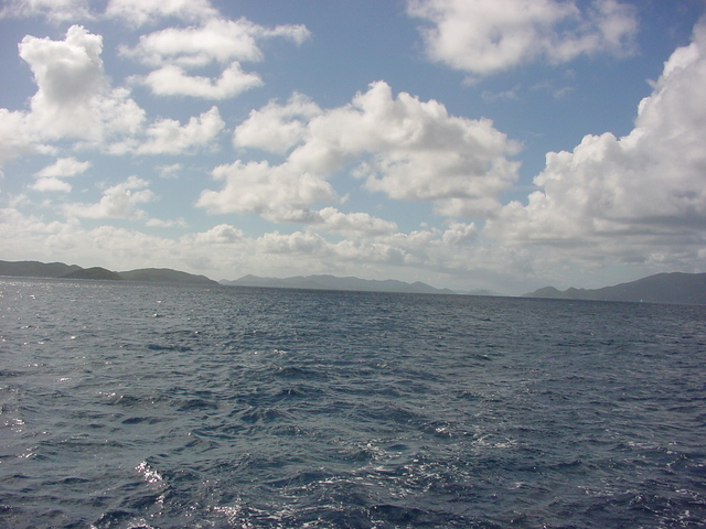 BVI-176