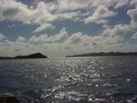 BVI-177