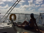 BVI-178