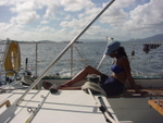 BVI-181