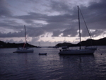 BVI-183