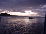 BVI-186