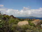 BVI-190
