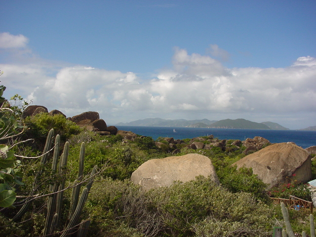 BVI-190