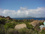 BVI-191