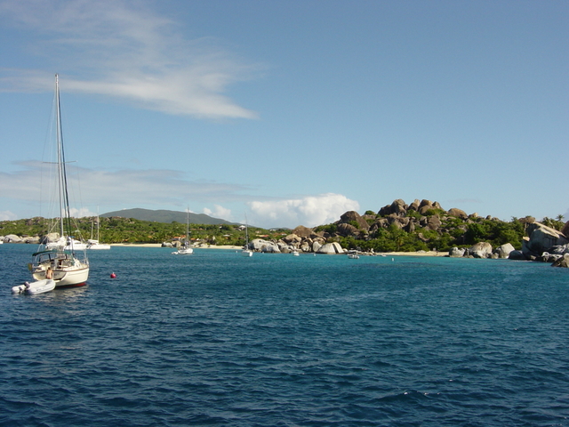 BVI-211