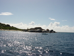 BVI-212