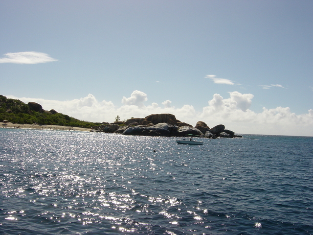 BVI-212