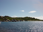 BVI-213