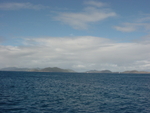 BVI-214