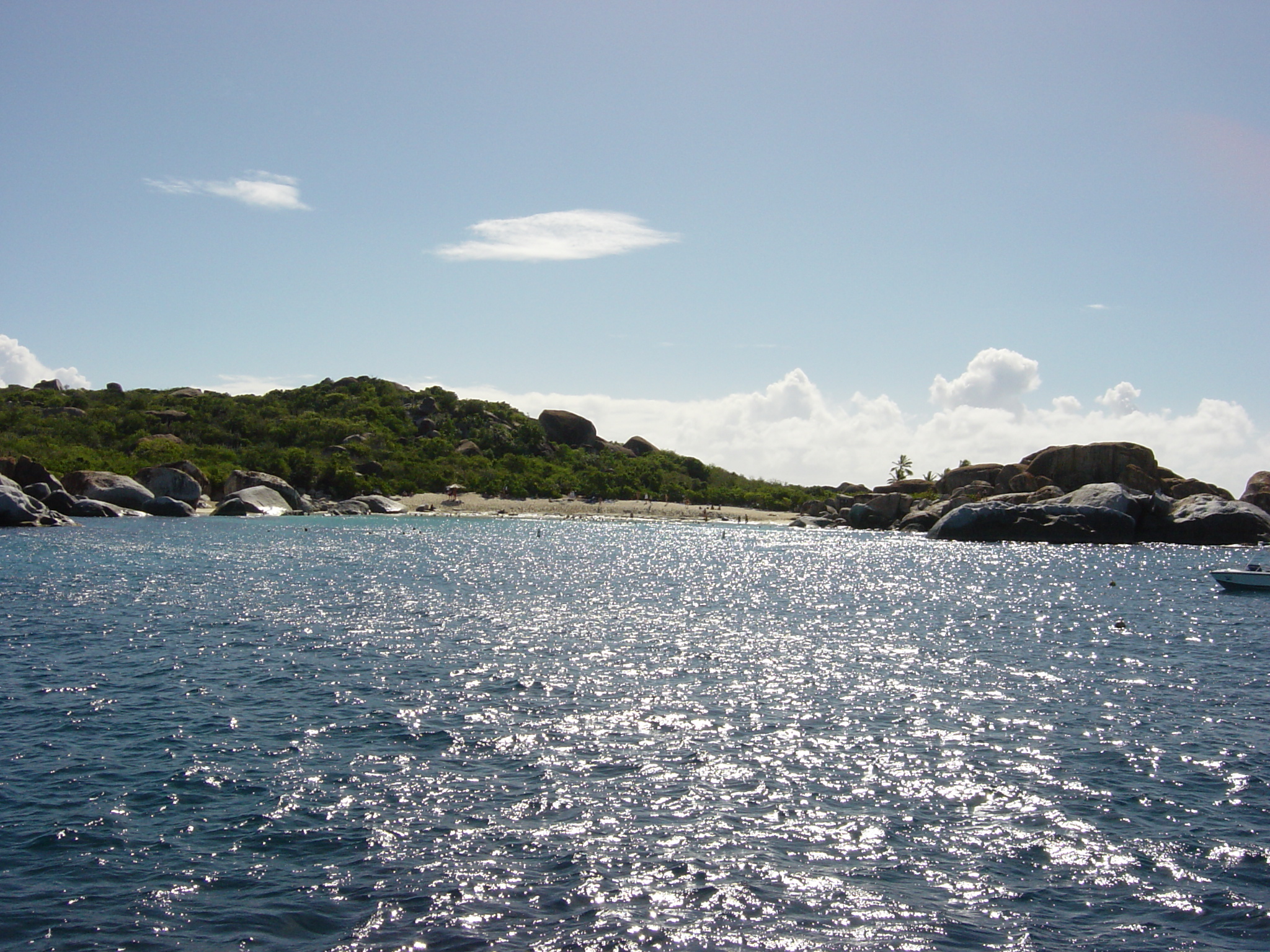BVI-216