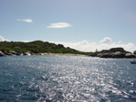 BVI-216