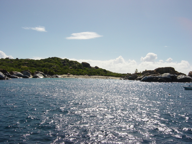 BVI-216