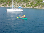 BVI-218