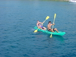 BVI-219