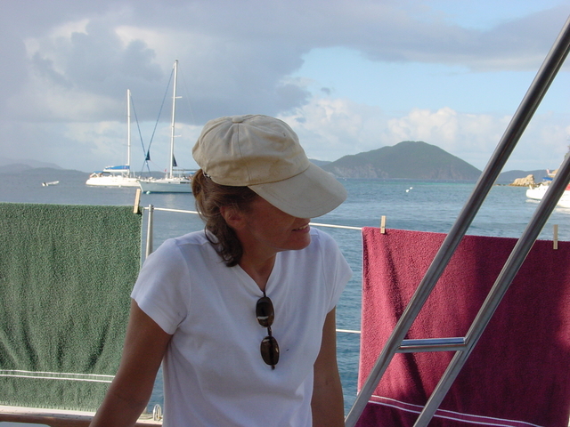 BVI-220