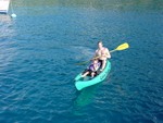 BVI-221