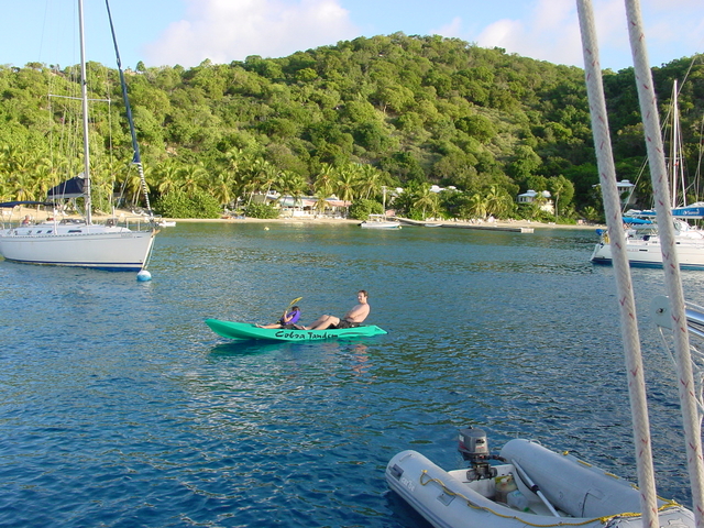 BVI-223