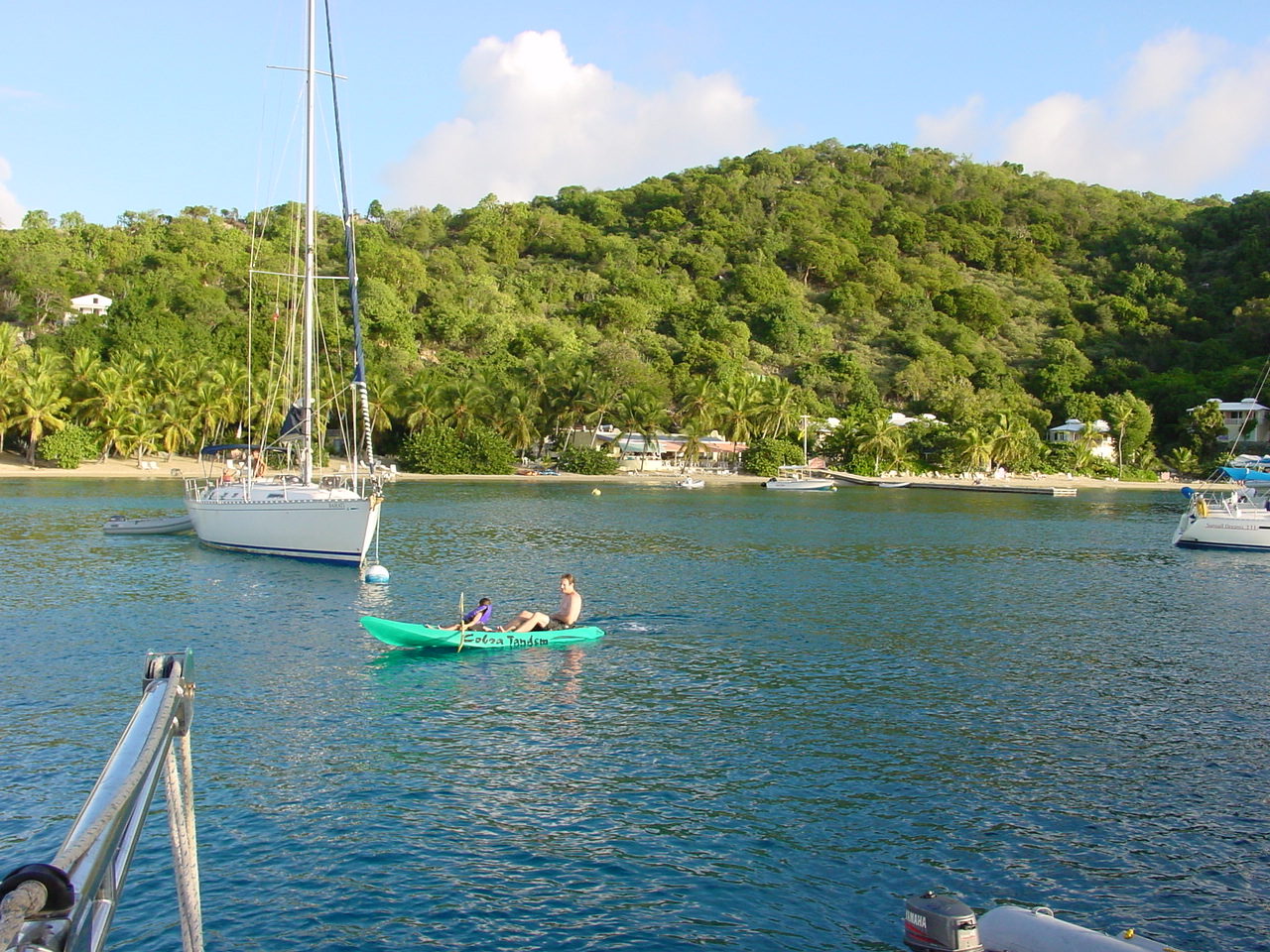 BVI-224
