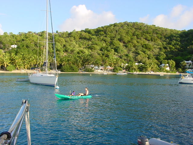 BVI-224