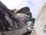 BVI-230
