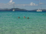BVI-237