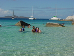 BVI-239