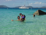 BVI-243