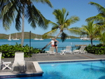 BVI-245