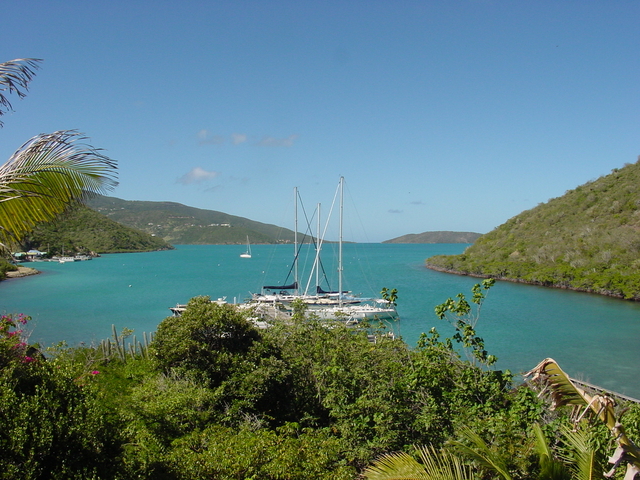 BVI-251