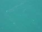BVI-257